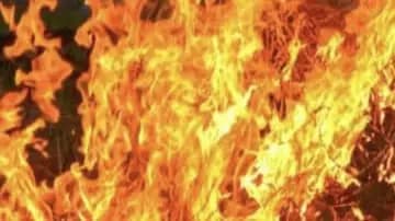  16 Year Old Girl Dies After Stalker Sets Her On Fire For Rejecting His Advances in Andhra Pradesh gnr 