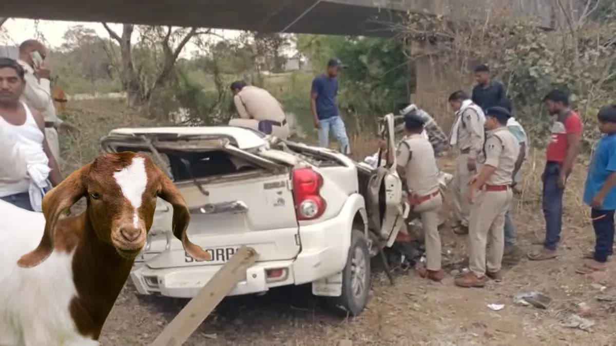 Four died from a same family in a road accident in Jabalpur