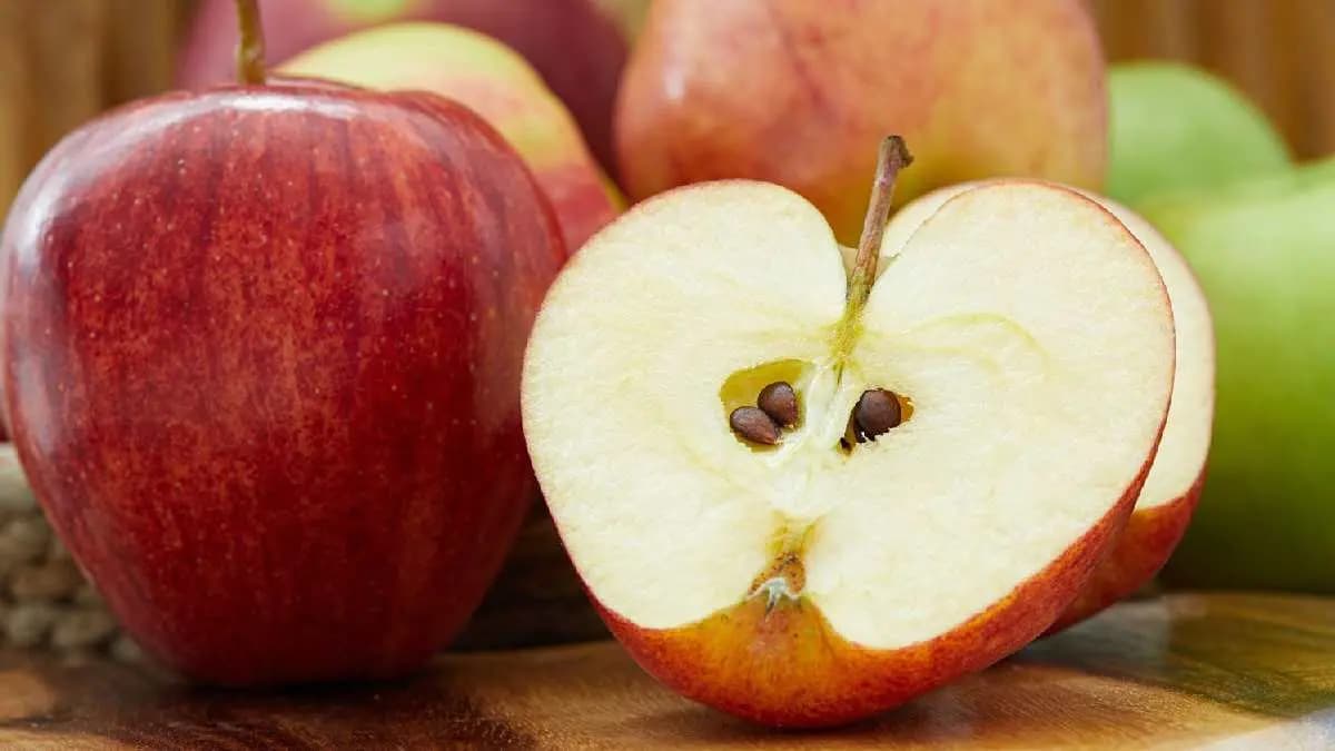 Fruit Seeds people should avoid poisonous fruit seeds