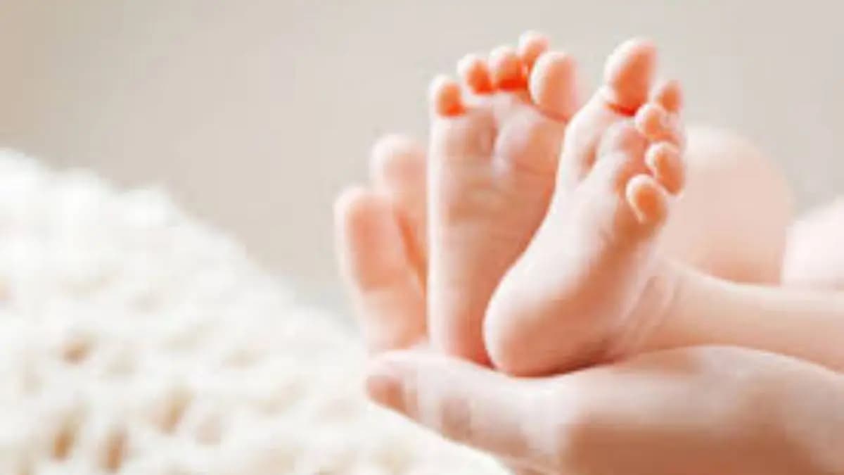 In Karnataka Hospital Newborn Baby Flushed Down Toilet gnr 