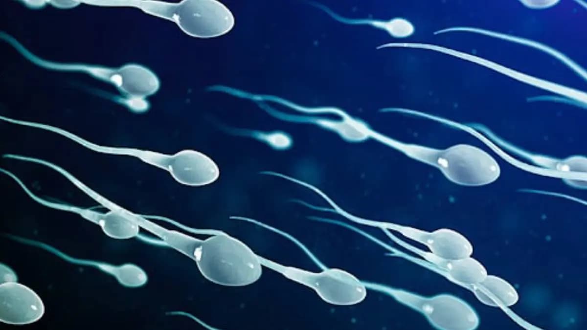 Semen has antidepressant compunds 