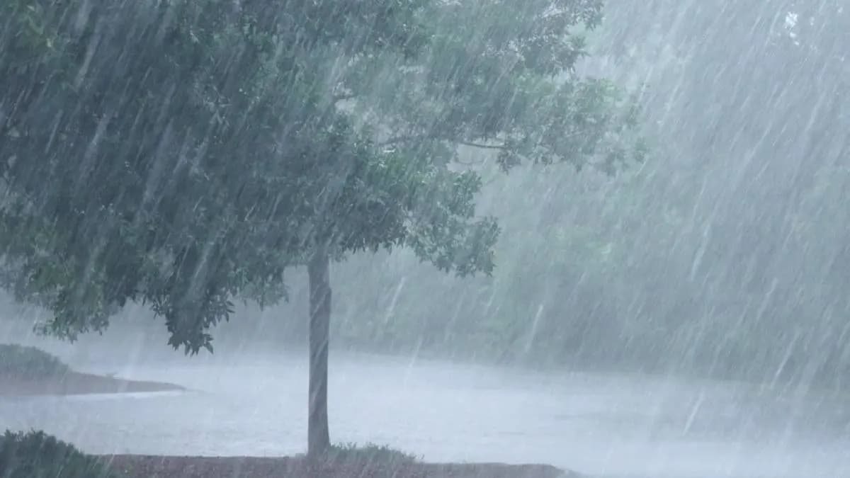 Weather Alert  Meteorological Department Heavy Rains  snowfall Predicted for these States gnr