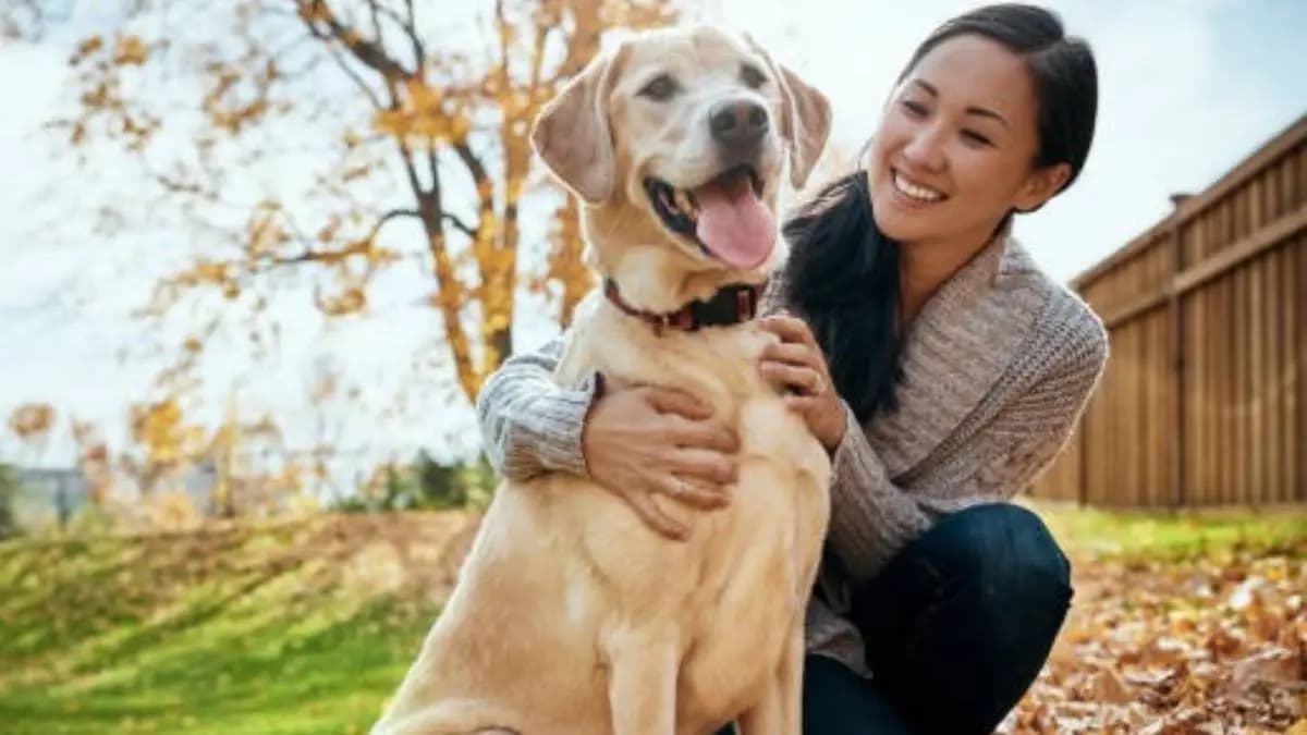 How to take care of your pet in Monsoon