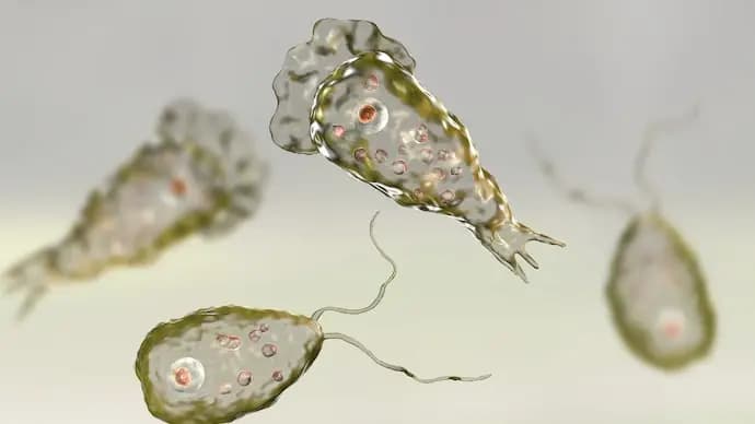 Kerala on High Alert Amid Brain Eating Amoeba Crisis Death Toll Rises to 18