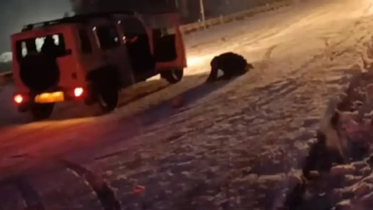 Man Jumps Out Of Moving Car As It Skids On Snowy Road Near Manali