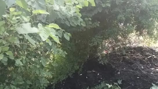 Man Buried Alive As Workers Dump Sludge On Him In Uttarpradesh