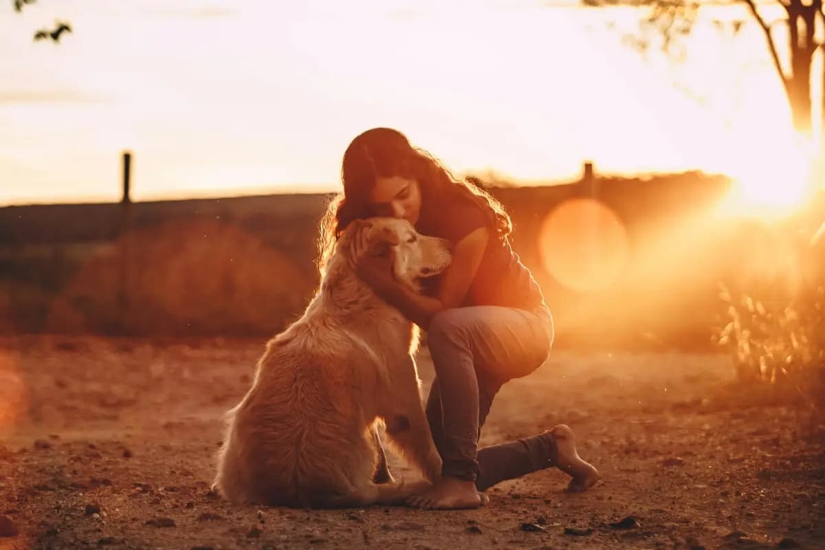Who is the best bed partner for a woman a man or a dog new study
