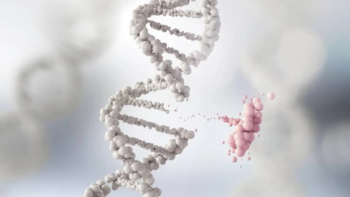 Early humans took a evolutionary leap when the eating meat and change DNA