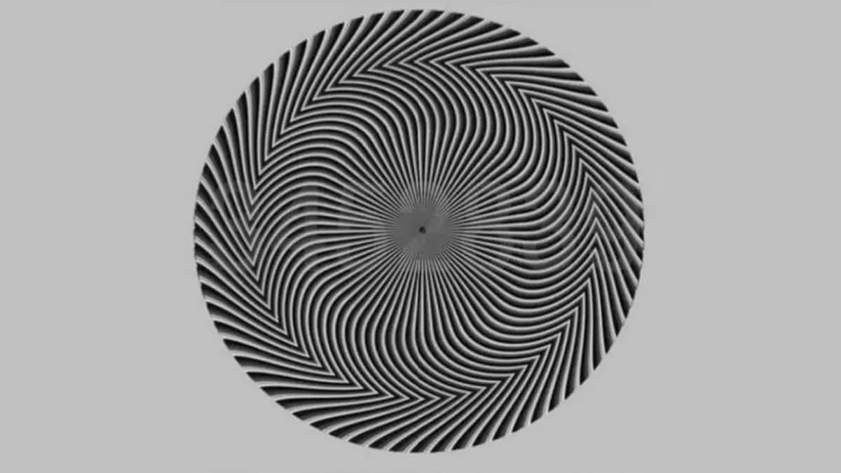 Optical illusion Solve this visual puzzle to test your eyes lif
