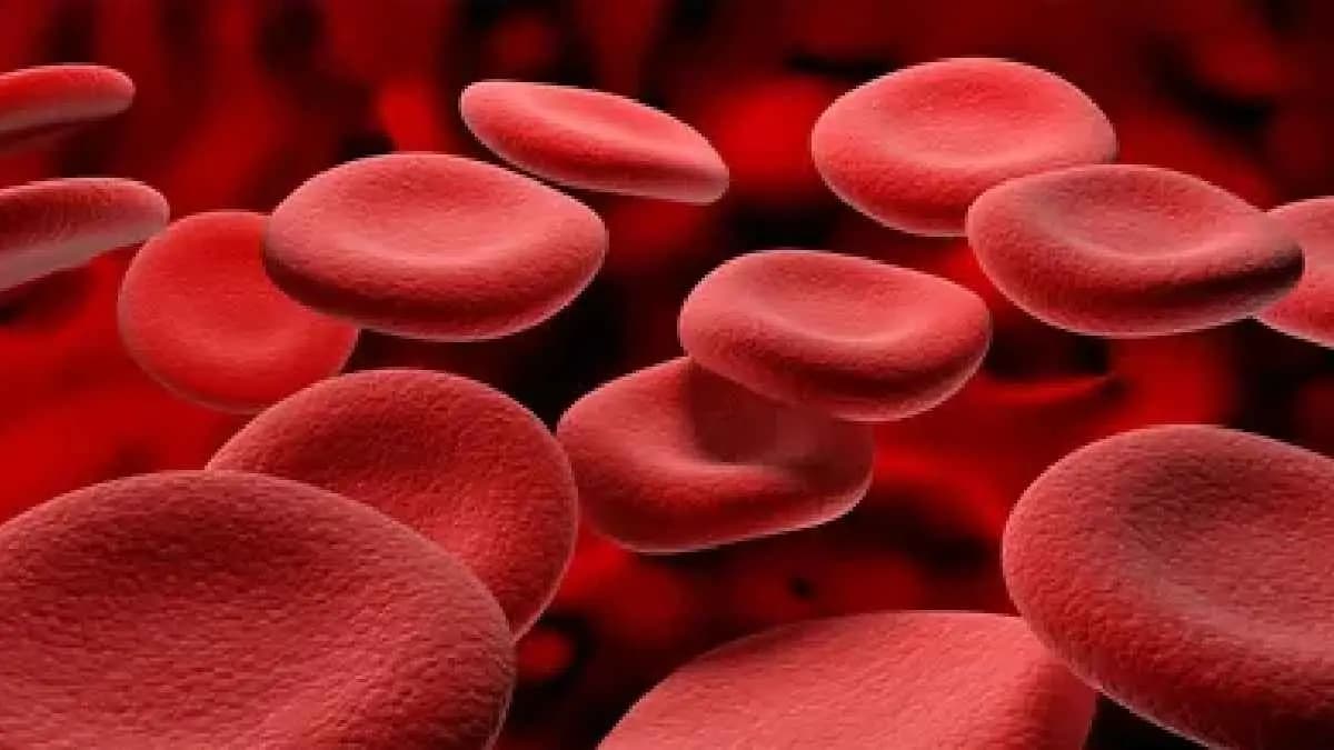 New Blood Group indentified after 50 year Mystery