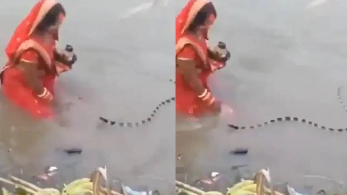 Woman Performing Chhath Puja Suddenly Faces Snake What Happens Next  gnr