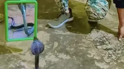 She Looked In The Mirror And Turned Into A Snake Naagin Reveal in Video