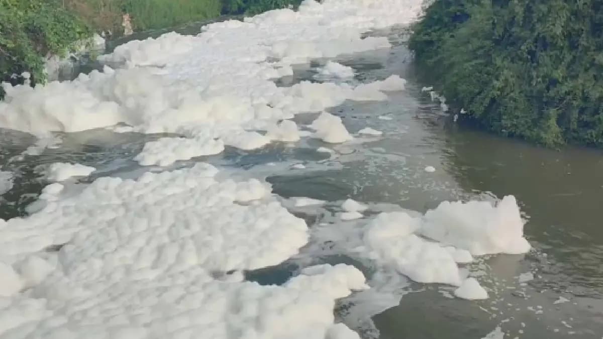 Sea Of Toxic Foam In Tamil Nadu's Hosur gnr 