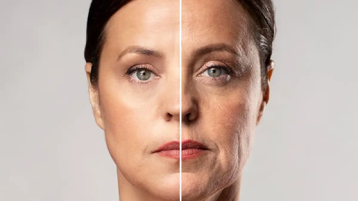  5 every day elements which can prevent wrinkles lif