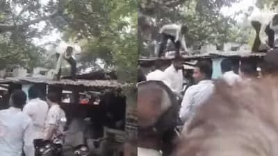 Monkey Snatches Bag With Rs 80 Thousand Rupees Showers Cash From Tree