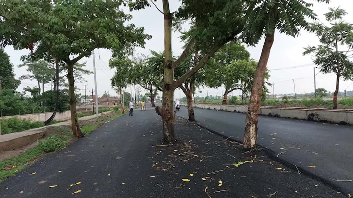 Rs 100 crore road expansion has many trees in the middle at Bihar making it look like a death trap