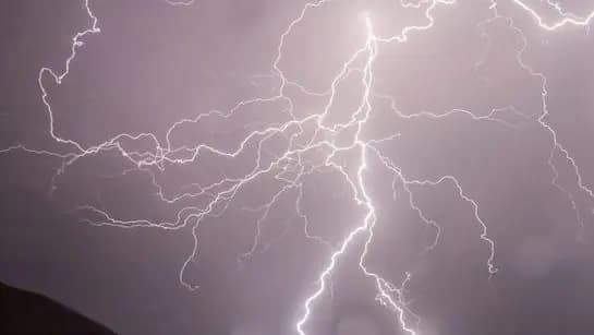  19 Deaths In 48 Hours Crops Damaged As Storms Batter Bihar
