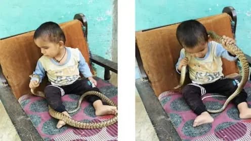 Little Boy Playing With Snake Sparks Outrage on Social Media 