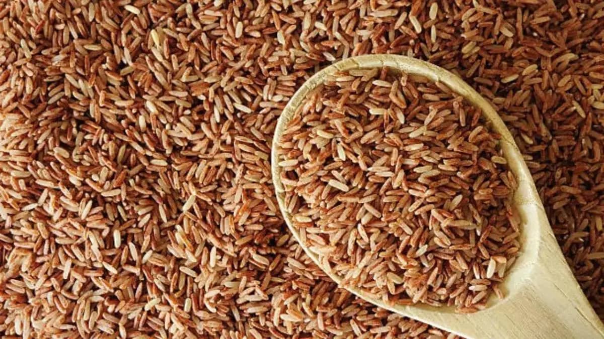 Brown Rice is harmful to body even increase risk of cancer know what research has said about it 