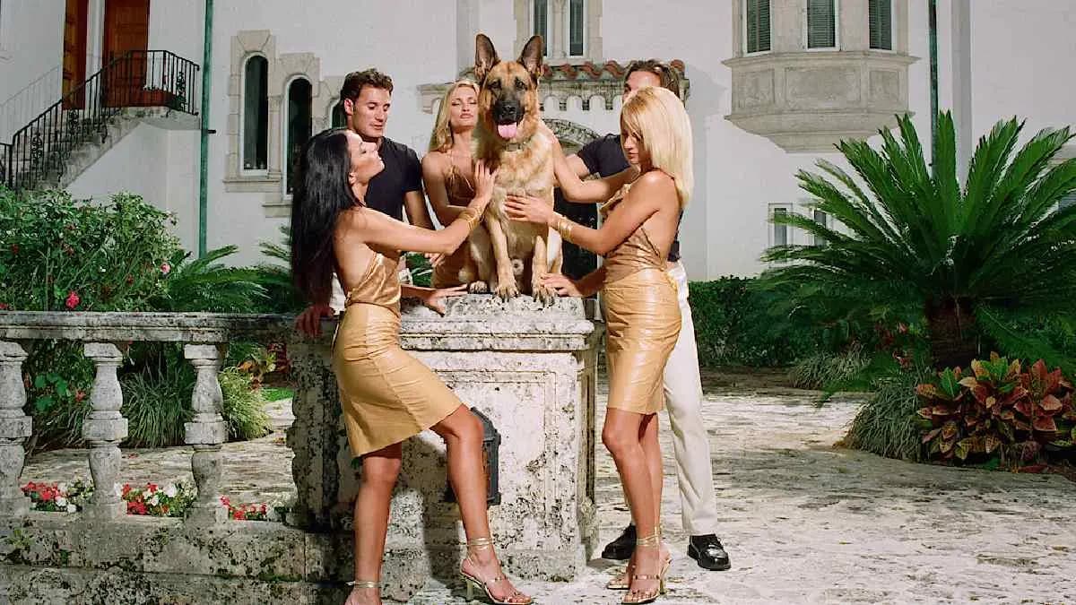 World s richest dog Gunther VI