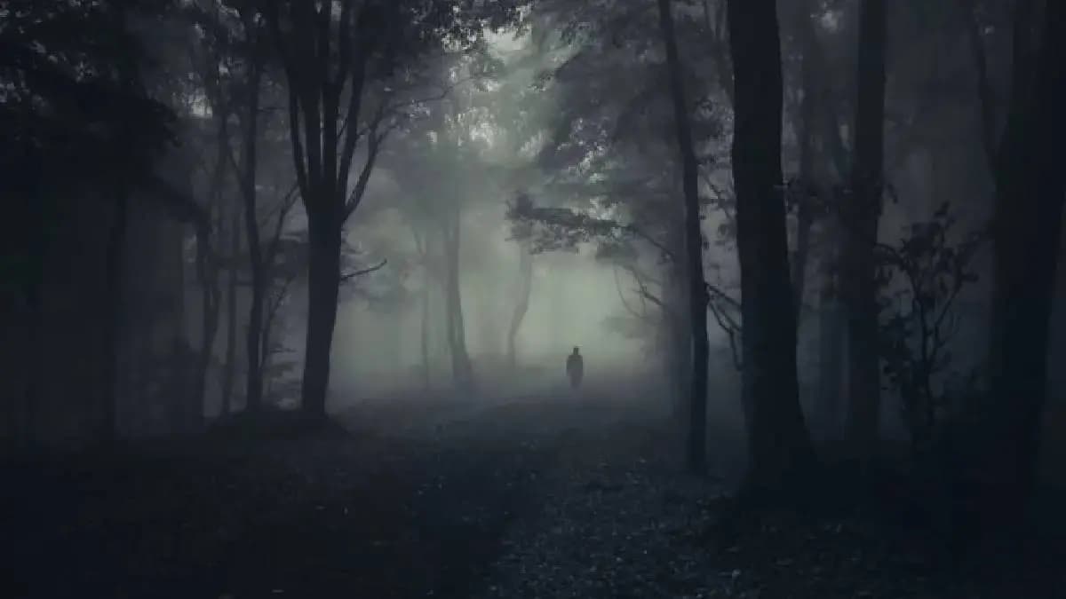 Dow hill where paranormal activities are watched claim locals gnr