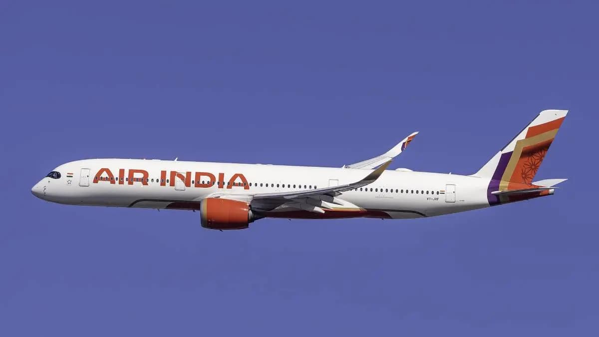 flight passenger strips on air plane comes back