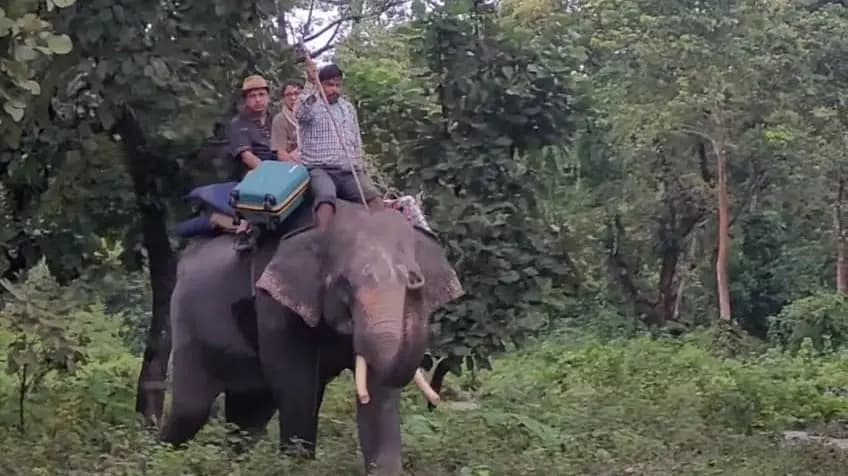 Tourists in North Bengal are rescued by elephants