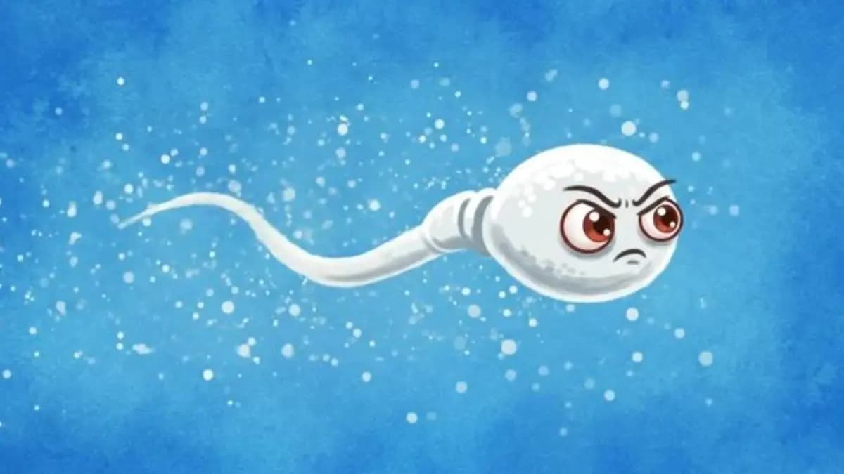 These foods may reduce fertility sperm count