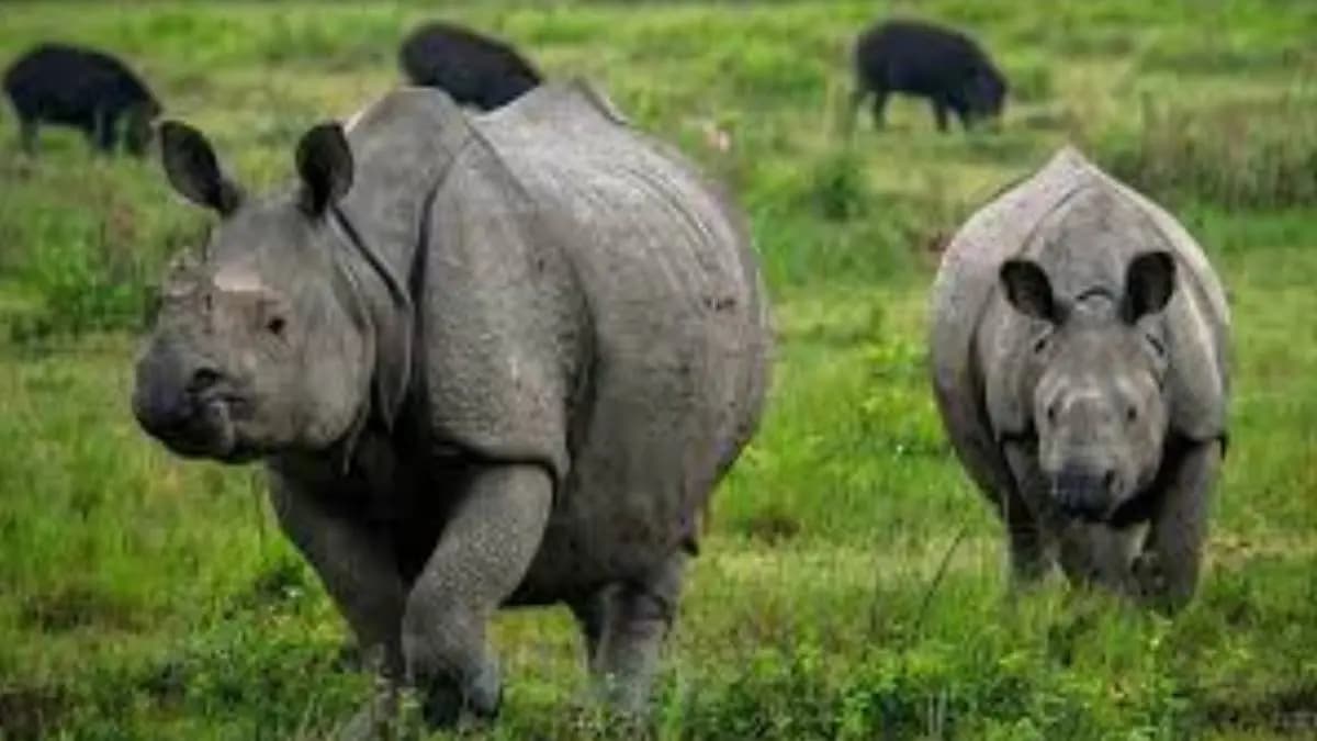 The Supreme Court expresses concern over the destruction of wildlife