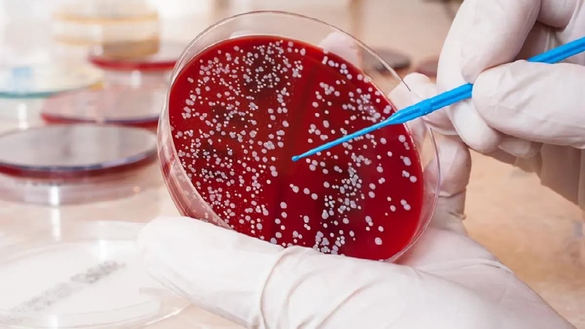 Blood Cancer Awareness month the major symptoms of blood Cancer
