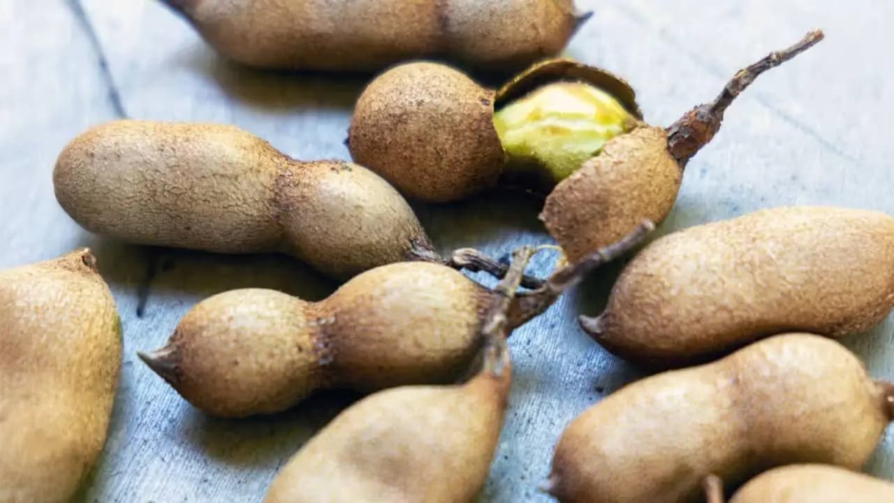 Tamarind Health Benefits
