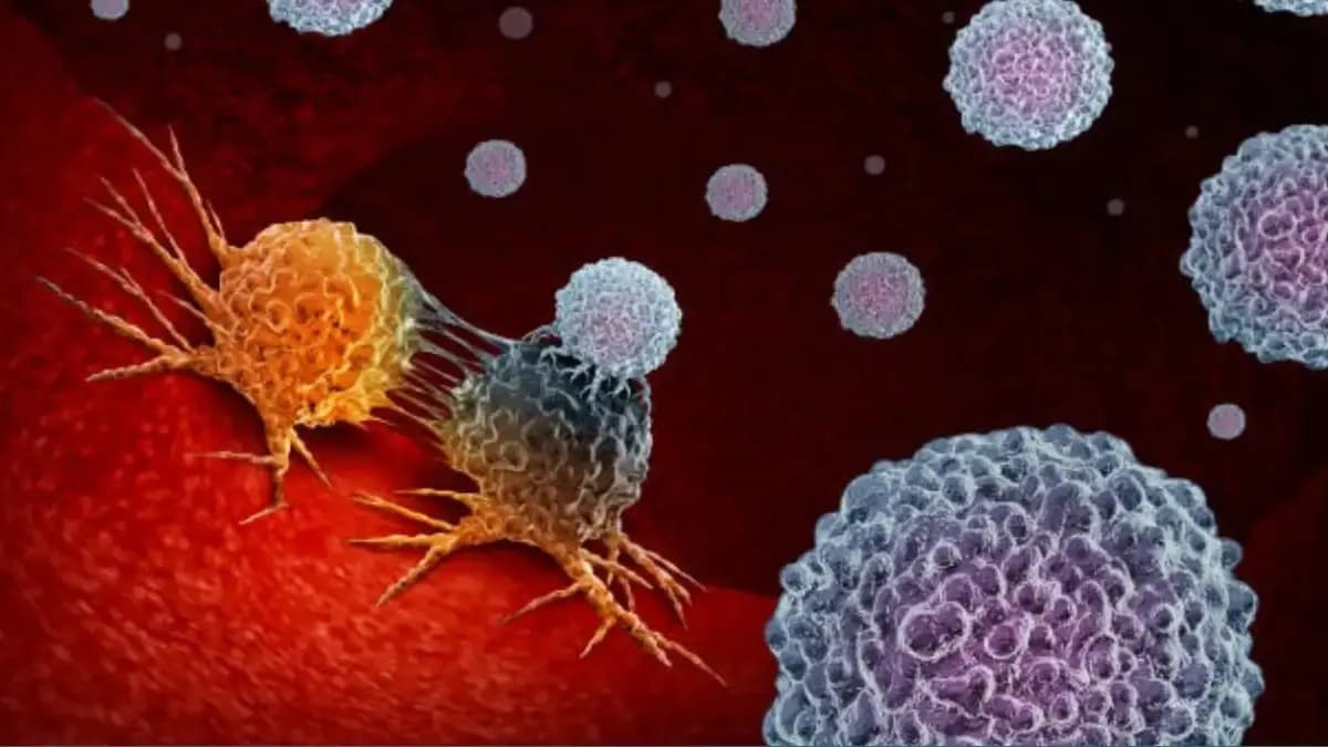 These most cancer causing things present in your home