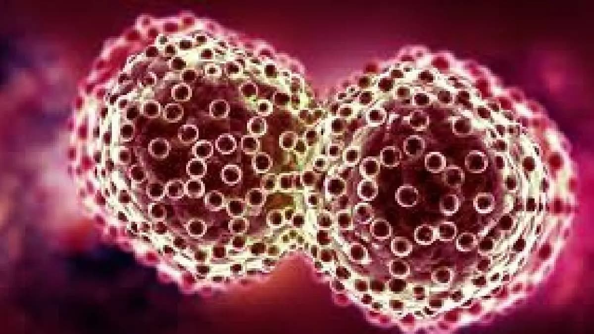 Common Bacteria found in Stomach which cause Cancer