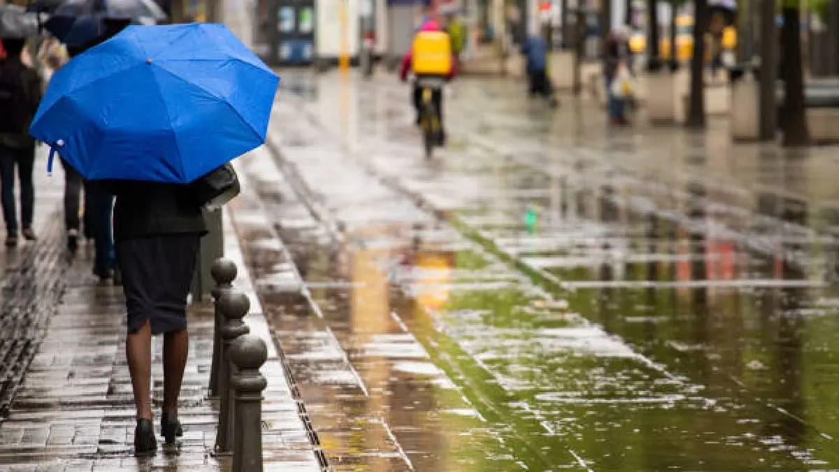 IMD Weather update Yellow Alert For 14 Rajasthan Districts Rainfall Predicted Next Week gnr