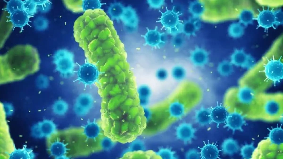 New Baba Vanga makes chiling prediction said Another deadly virus will kill millions of people