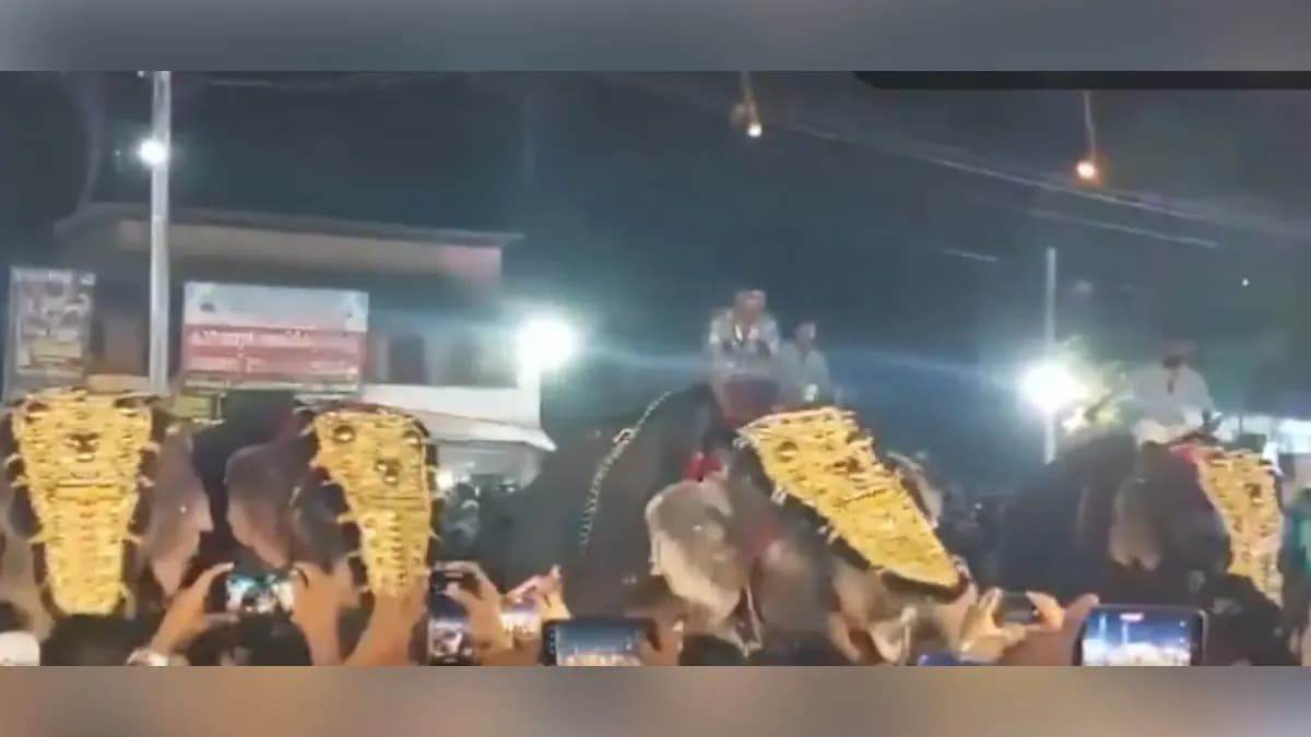 Elephant grabs man with trunk, tosses him into air at Kerala festival gnr