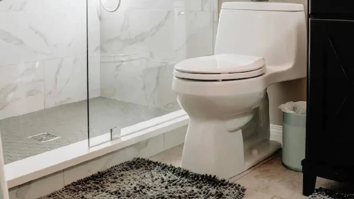 Doctors Urge Limiting Toilet Time To Avoid Health Risks gnr