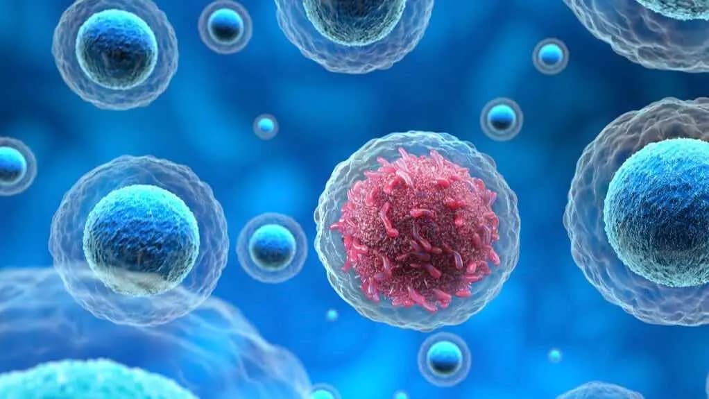 Scientist treats own breast cancer with viruses she grew in the lab gnr 