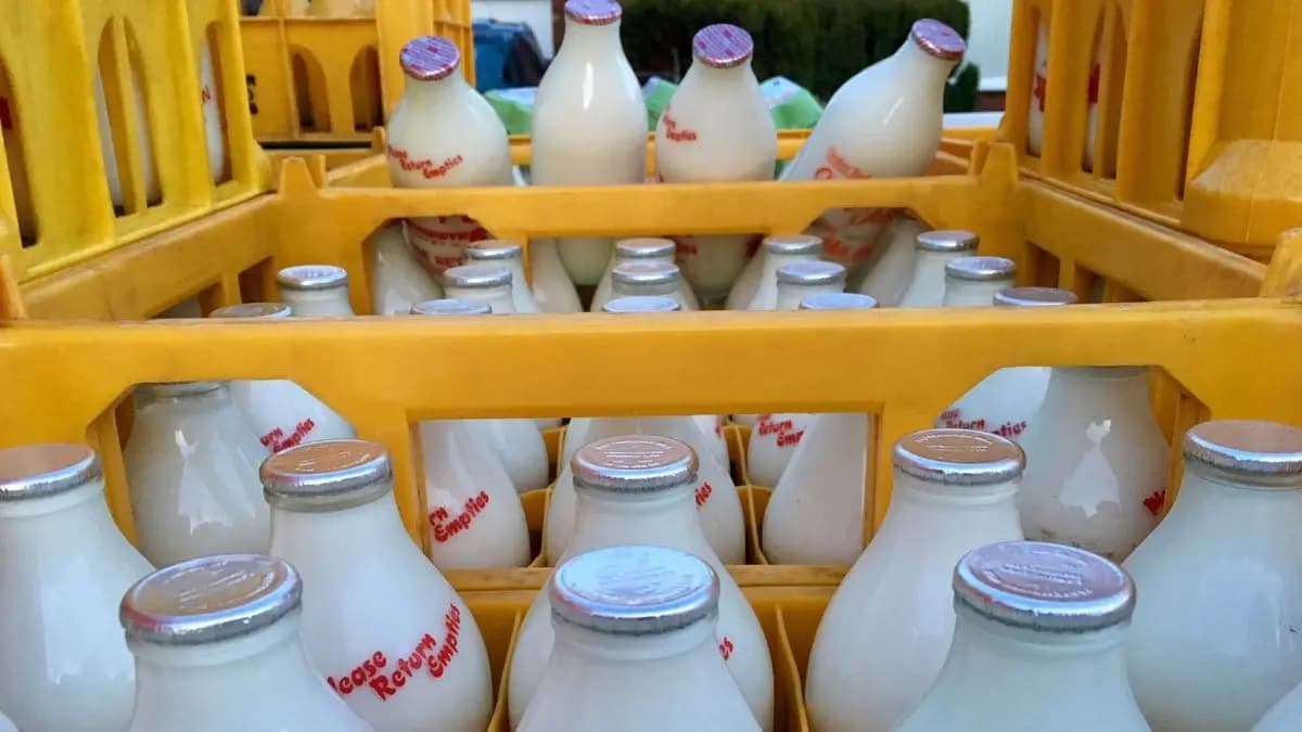 Gangster Al Capone is the reason behind the expiry date on milk bottles gnr