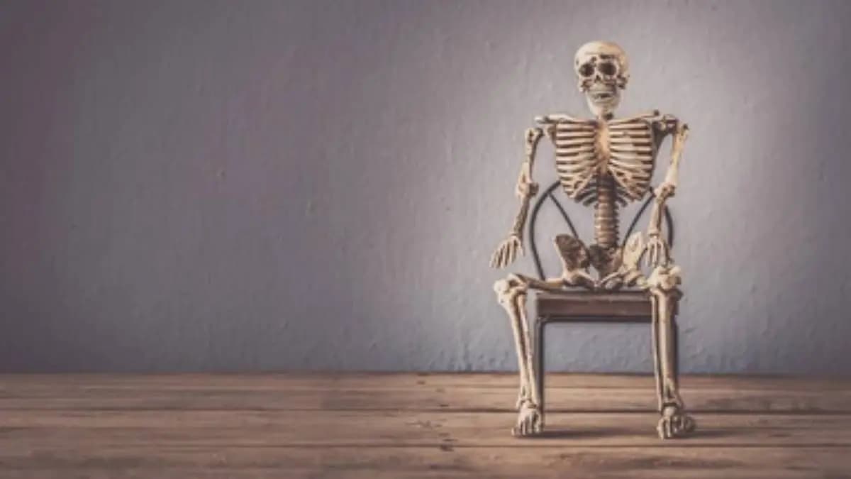 Woman skeleton was found in London after three years