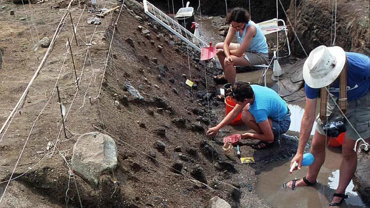 Humans live on a Plant Based Diet 780000 years ago makes new Discovery 