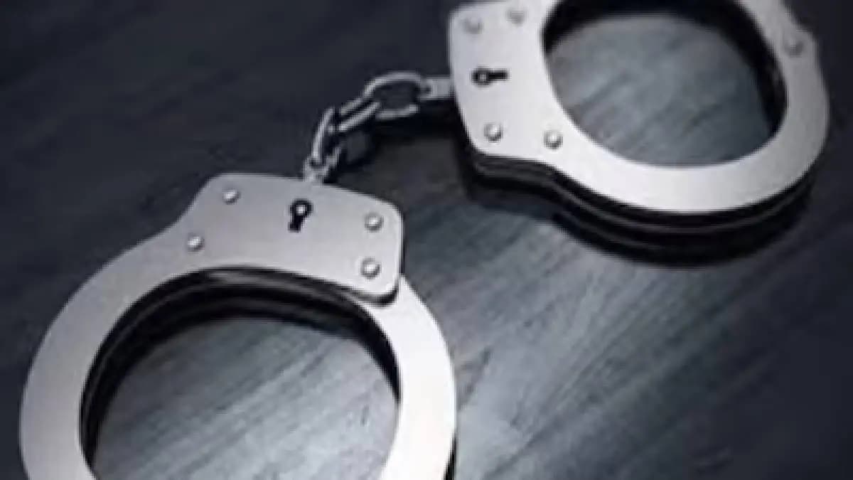 Himachal Pradesh Man Kills Mother