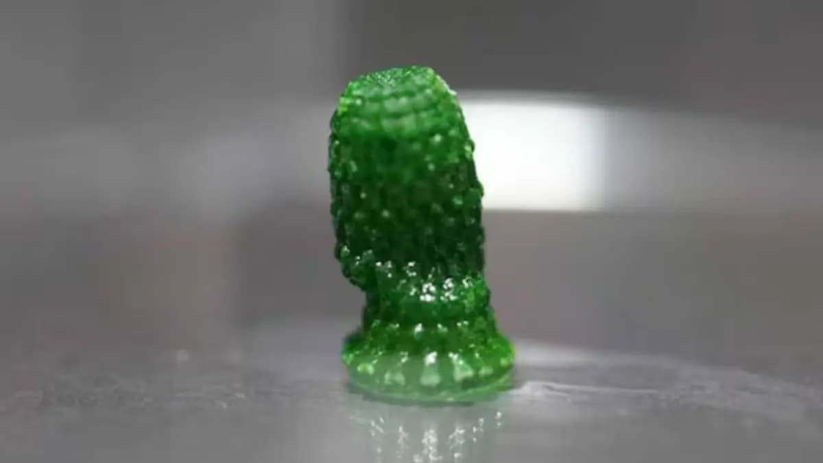Scientists create living material that sucks Co2 from the air