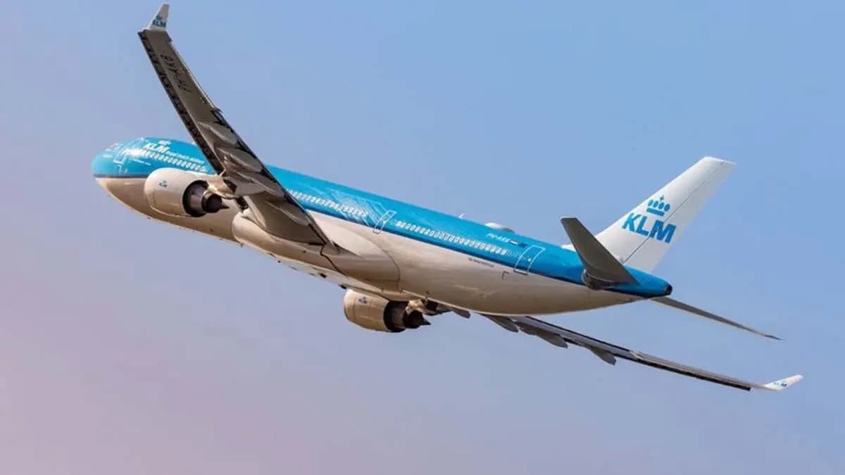 Afghan teenager arrives in Delhi alive after hiding in the landing gear compartment of an aeroplane