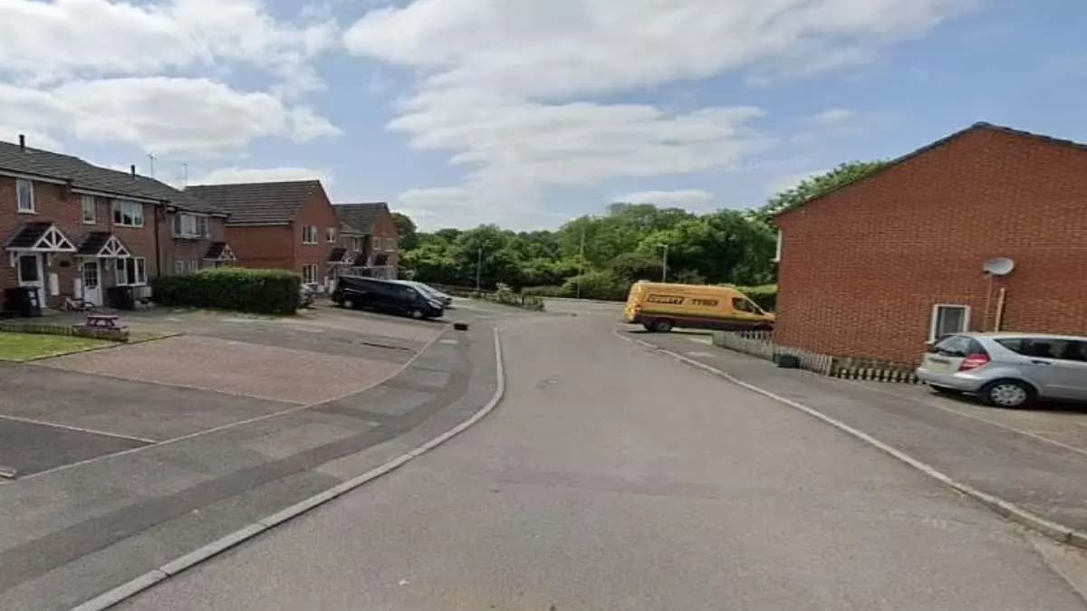 Missing mother was eaten by her two pet