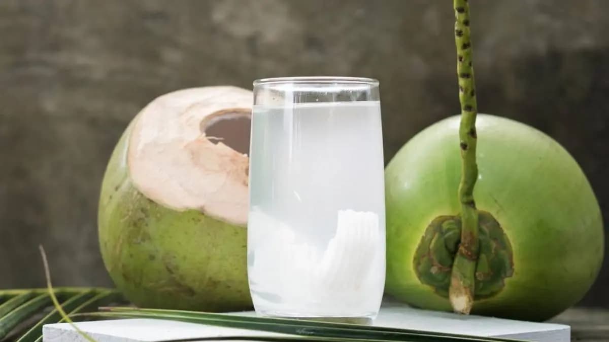 Does coconut water increase blood sugar level Diabetic patients should know the actual truth 