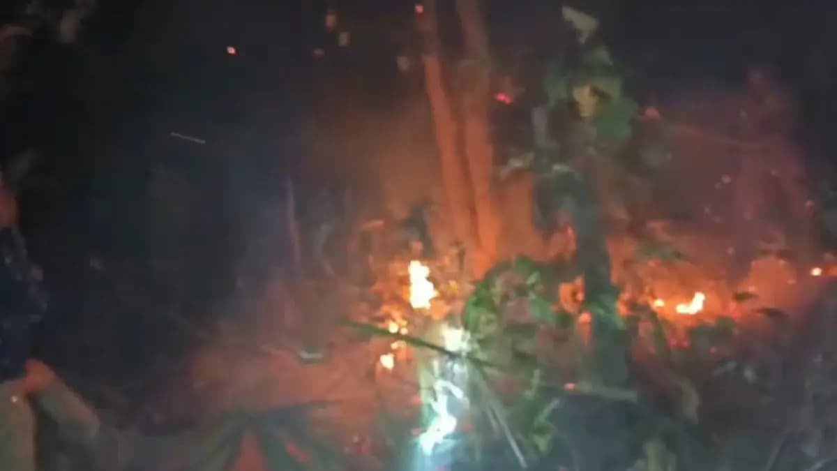 Fire breaks out at East Burdwan Ausgram forest