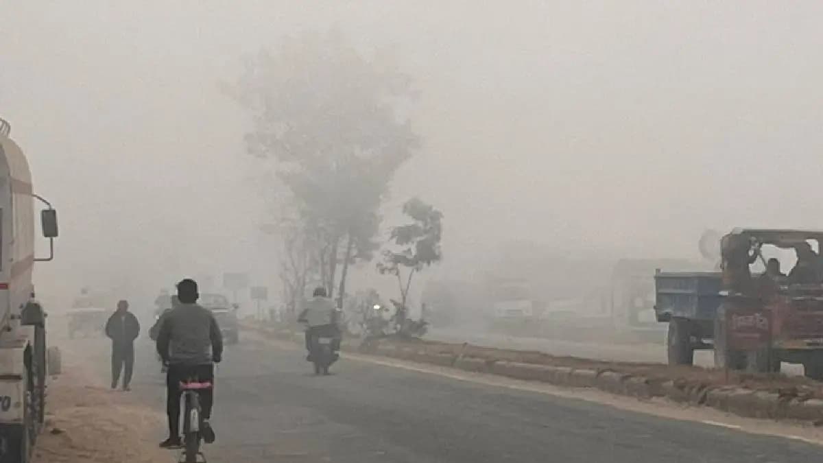Imd weather update warning coldwave and heavy rainfall in these states gnr