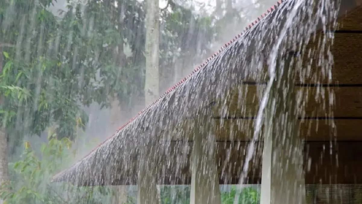 IMD Weather Update Heavy Storm and Rain in 11 Districts in this State