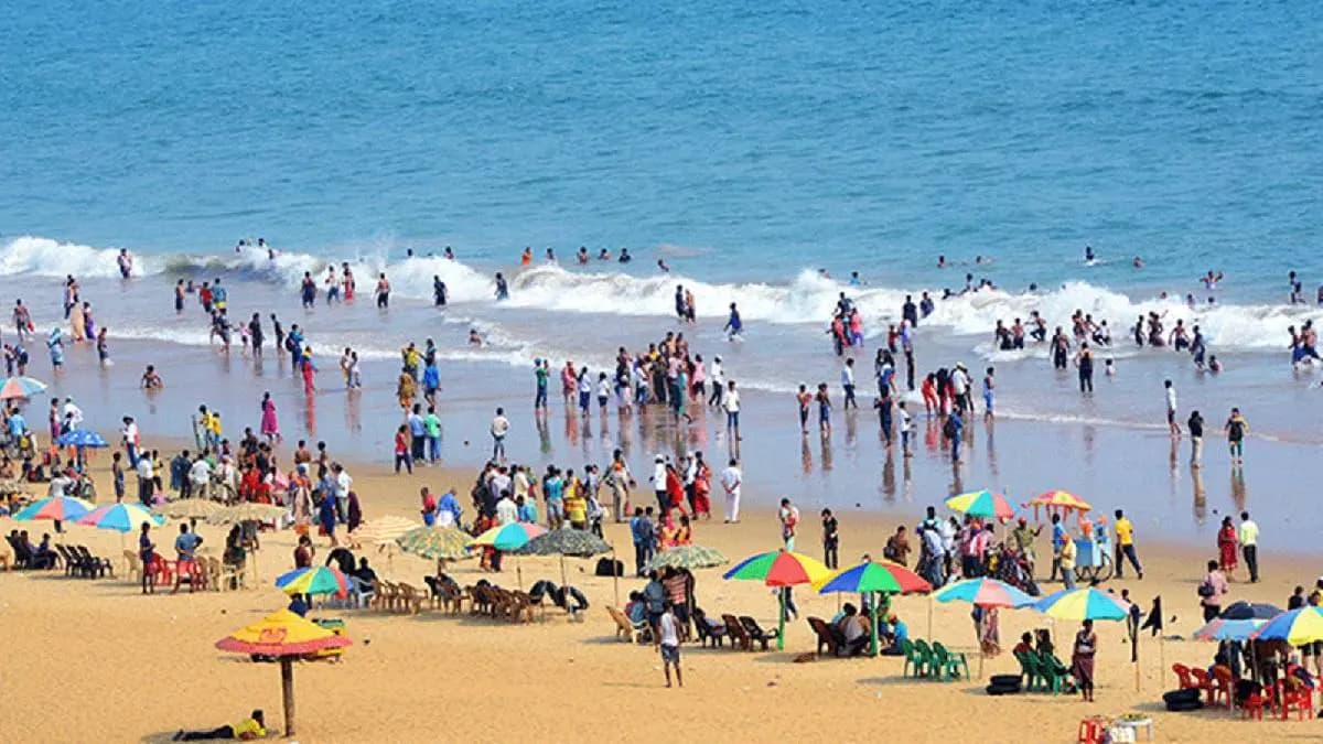 Tourists demand cleanup after dead jellyfish wash shore at Odisha Puri sea beach